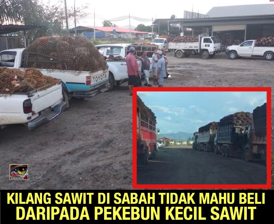 (VIDEO) Harga sawit jatuh: Kilang Sawit di Sabah tidak ...