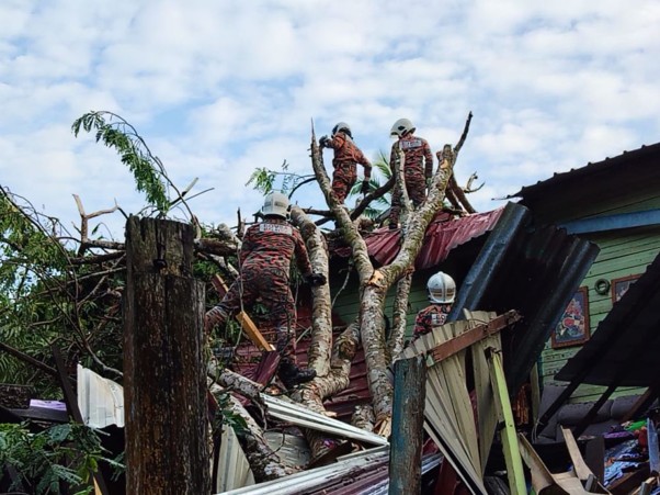 Rumah dihempap pokok tumbang, tiga penghuni cedera